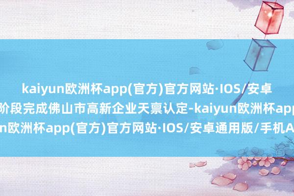 kaiyun欧洲杯app(官方)官方网站·IOS/安卓通用版/手机APP下载现阶段完成佛山市高新企业天禀认定-kaiyun欧洲杯app(官方)官方网站·IOS/安卓通用版/手机APP下载