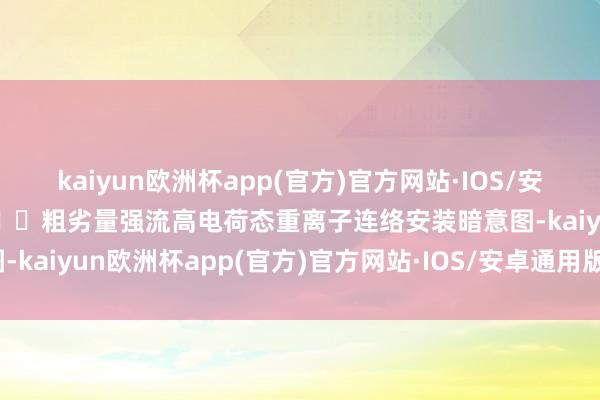 kaiyun欧洲杯app(官方)官方网站·IOS/安卓通用版/手机APP下载  粗劣量强流高电荷态重离子连络安装暗意图-kaiyun欧洲杯app(官方)官方网站·IOS/安卓通用版/手机APP下载