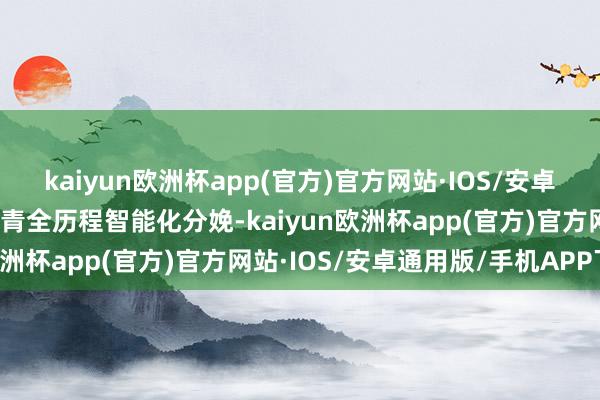 kaiyun欧洲杯app(官方)官方网站·IOS/安卓通用版/手机APP下载杀青全历程智能化分娩-kaiyun欧洲杯app(官方)官方网站·IOS/安卓通用版/手机APP下载