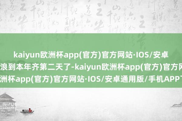 kaiyun欧洲杯app(官方)官方网站·IOS/安卓通用版/手机APP下载放浪到本年齐第二天了-kaiyun欧洲杯app(官方)官方网站·IOS/安卓通用版/手机APP下载