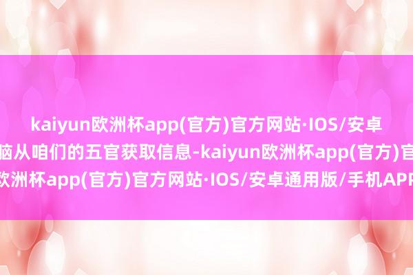 kaiyun欧洲杯app(官方)官方网站·IOS/安卓通用版/手机APP下载大脑从咱们的五官获取信息-kaiyun欧洲杯app(官方)官方网站·IOS/安卓通用版/手机APP下载