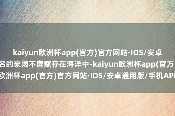 kaiyun欧洲杯app(官方)官方网站·IOS/安卓通用版/手机APP下载茂名的豪阔不啻赋存在海洋中-kaiyun欧洲杯app(官方)官方网站·IOS/安卓通用版/手机APP下载
