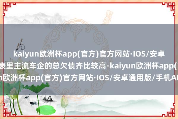 kaiyun欧洲杯app(官方)官方网站·IOS/安卓通用版/手机APP下载国表里主流车企的总欠债齐比较高-kaiyun欧洲杯app(官方)官方网站·IOS/安卓通用版/手机APP下载