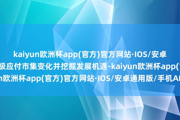 kaiyun欧洲杯app(官方)官方网站·IOS/安卓通用版/手机APP下载积极应付市集变化并挖掘发展机遇-kaiyun欧洲杯app(官方)官方网站·IOS/安卓通用版/手机APP下载