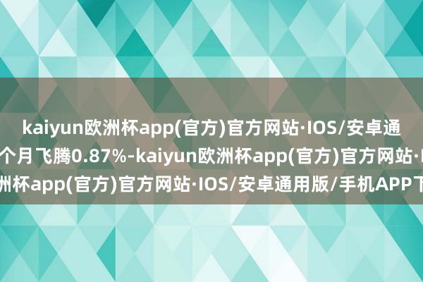 kaiyun欧洲杯app(官方)官方网站·IOS/安卓通用版/手机APP下载近6个月飞腾0.87%-kaiyun欧洲杯app(官方)官方网站·IOS/安卓通用版/手机APP下载