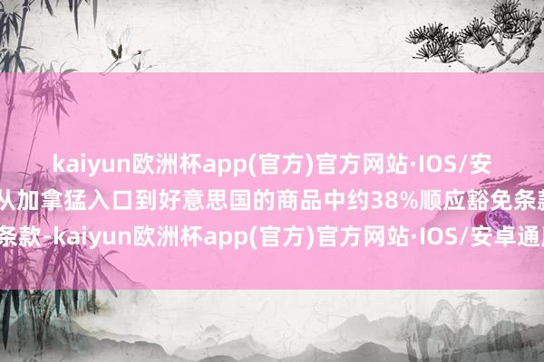 kaiyun欧洲杯app(官方)官方网站·IOS/安卓通用版/手机APP下载从加拿猛入口到好意思国的商品中约38%顺应豁免条款-kaiyun欧洲杯app(官方)官方网站·IOS/安卓通用版/手机APP下载