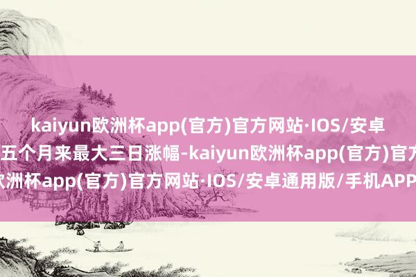 kaiyun欧洲杯app(官方)官方网站·IOS/安卓通用版/手机APP下载创五个月来最大三日涨幅-kaiyun欧洲杯app(官方)官方网站·IOS/安卓通用版/手机APP下载