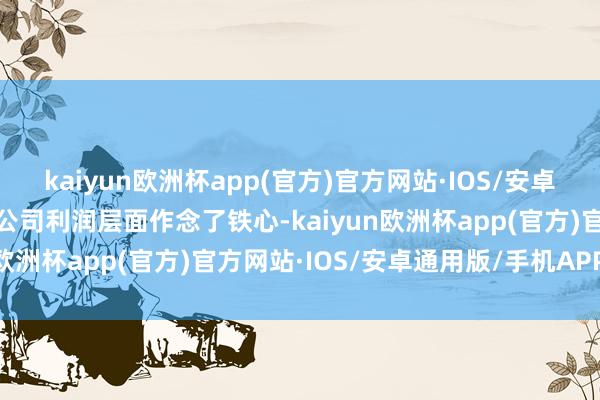 kaiyun欧洲杯app(官方)官方网站·IOS/安卓通用版/手机APP下载从公司利润层面作念了铁心-kaiyun欧洲杯app(官方)官方网站·IOS/安卓通用版/手机APP下载