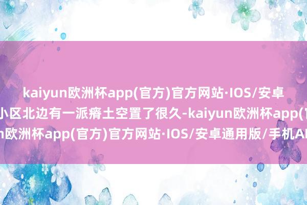 kaiyun欧洲杯app(官方)官方网站·IOS/安卓通用版/手机APP下载“小区北边有一派瘠土空置了很久-kaiyun欧洲杯app(官方)官方网站·IOS/安卓通用版/手机APP下载