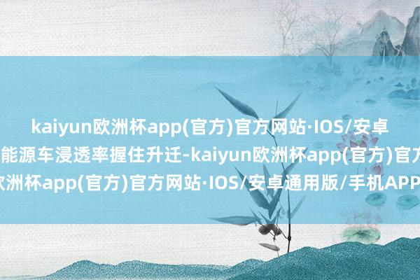 kaiyun欧洲杯app(官方)官方网站·IOS/安卓通用版/手机APP下载新能源车浸透率握住升迁-kaiyun欧洲杯app(官方)官方网站·IOS/安卓通用版/手机APP下载