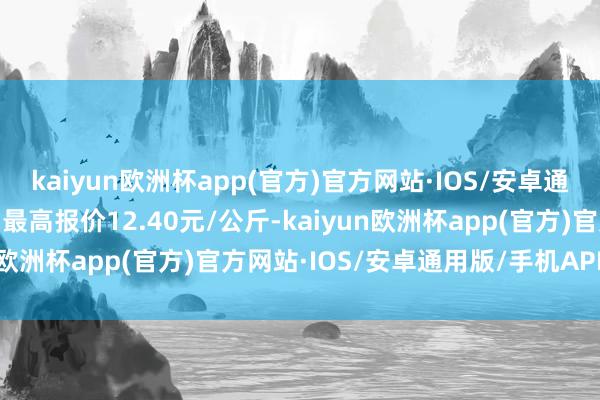 kaiyun欧洲杯app(官方)官方网站·IOS/安卓通用版/手机APP下载当日最高报价12.40元/公斤-kaiyun欧洲杯app(官方)官方网站·IOS/安卓通用版/手机APP下载