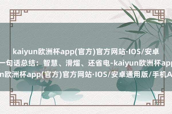 kaiyun欧洲杯app(官方)官方网站·IOS/安卓通用版/手机APP下载用一句话总结：智慧、滑熘、还省电-kaiyun欧洲杯app(官方)官方网站·IOS/安卓通用版/手机APP下载