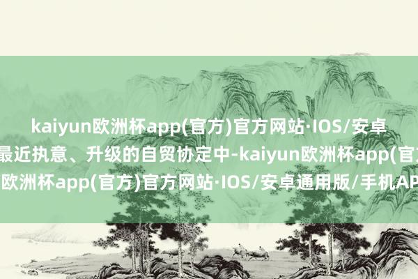 kaiyun欧洲杯app(官方)官方网站·IOS/安卓通用版/手机APP下载在最近执意、升级的自贸协定中-kaiyun欧洲杯app(官方)官方网站·IOS/安卓通用版/手机APP下载