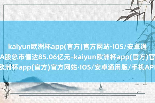 kaiyun欧洲杯app(官方)官方网站·IOS/安卓通用版/手机APP下载最新A股总市值达85.06亿元-kaiyun欧洲杯app(官方)官方网站·IOS/安卓通用版/手机APP下载
