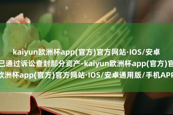 kaiyun欧洲杯app(官方)官方网站·IOS/安卓通用版/手机APP下载且已通过诉讼查封部分资产-kaiyun欧洲杯app(官方)官方网站·IOS/安卓通用版/手机APP下载