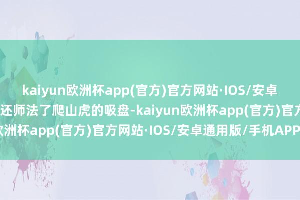 kaiyun欧洲杯app(官方)官方网站·IOS/安卓通用版/手机APP下载它还师法了爬山虎的吸盘-kaiyun欧洲杯app(官方)官方网站·IOS/安卓通用版/手机APP下载